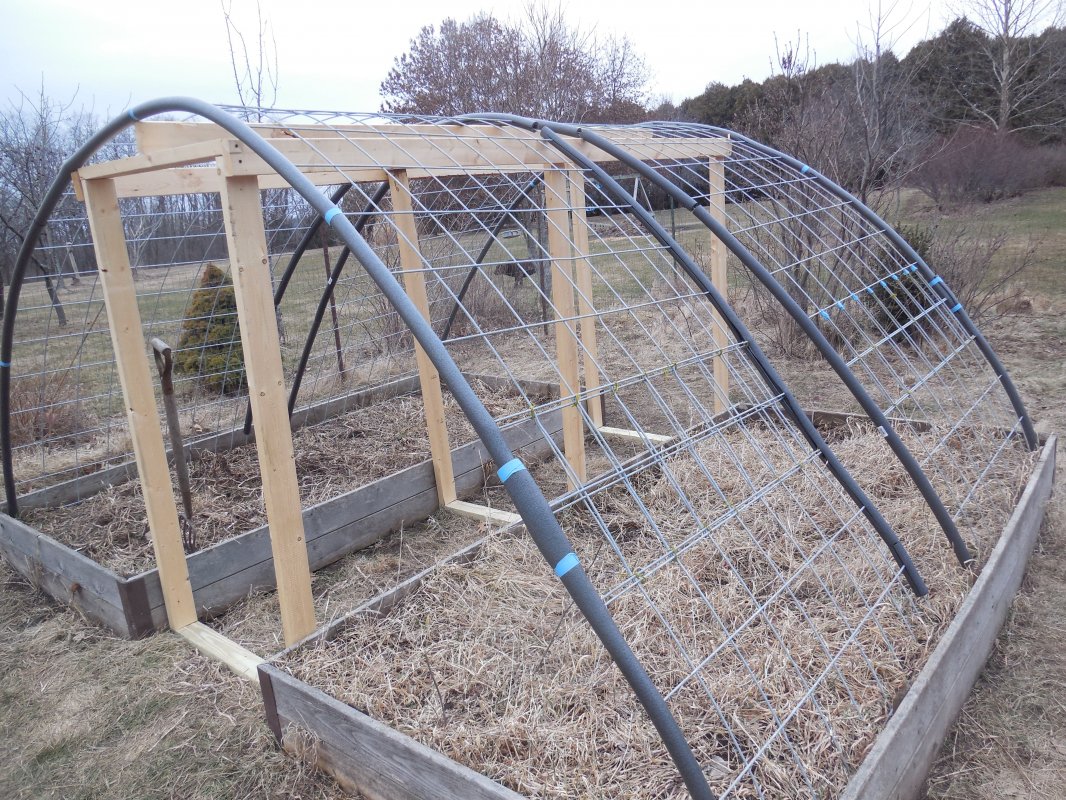 greenhouse ready for plastic.JPG